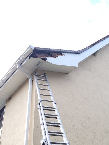 Roof Repair Service in Fallowfield